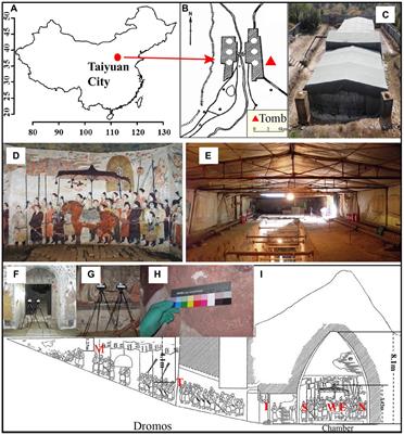 Differences of airborne and mural microorganisms in a 1,500-year-old Xu Xianxiu’s Tomb, Taiyuan, China